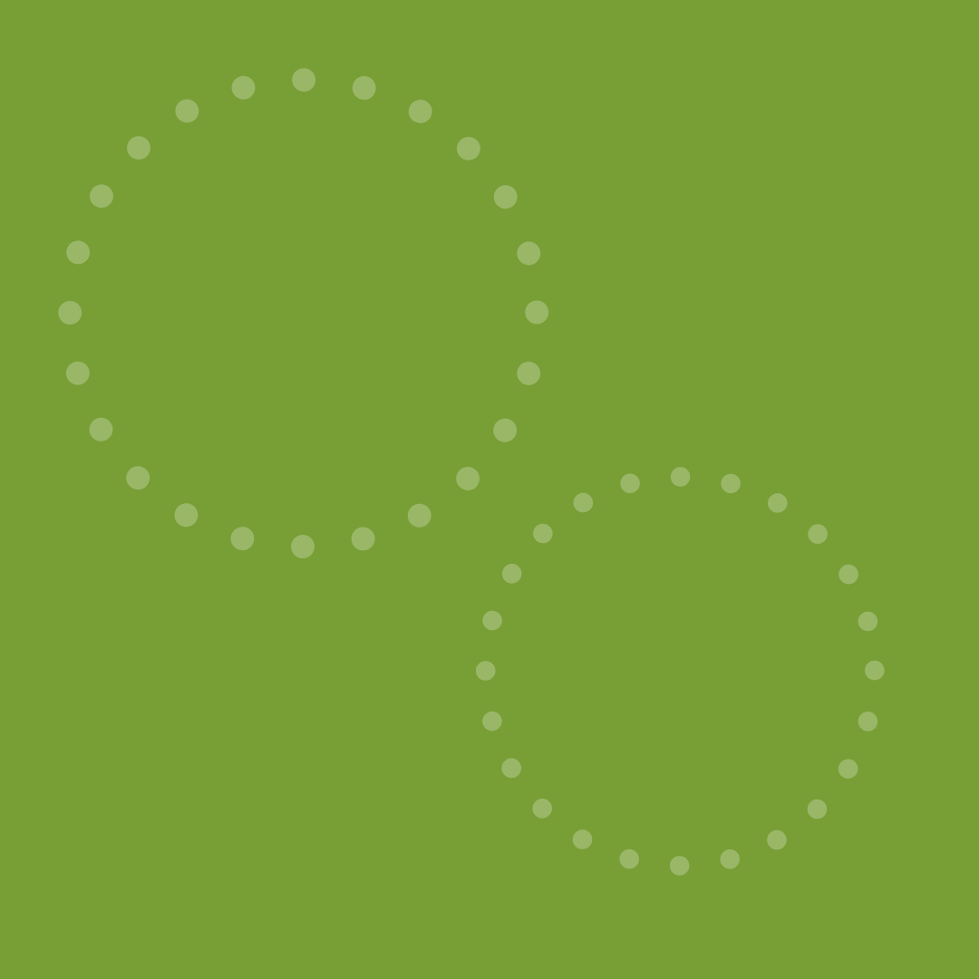 Regels: wat bij succes?